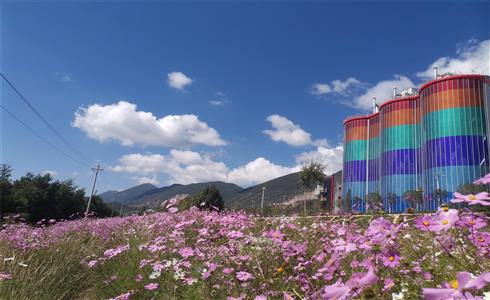 BIPV，讓水泥廠變花園！